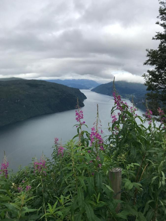 Apartament Panorama Fjord Olden Zewnętrze zdjęcie